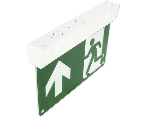 Notausgangsleuchte mit Pfeil und Personensymbol