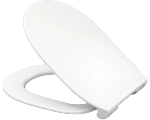 Toilettendeckel aus Kunststoff