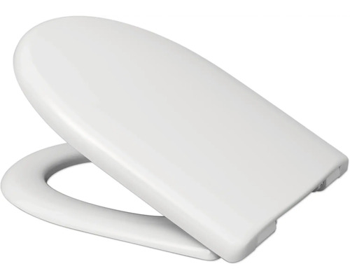 Toilettendeckel aus Kunststoff