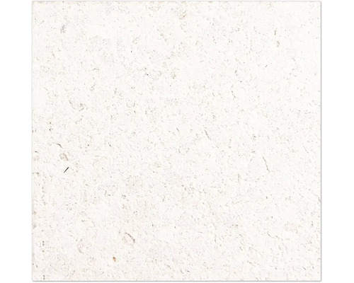 Terrazzo Terrassenplatte Castello crema 60 cm x 60 cm x 2,5 cm Nahaufnahme einer Natursteinfliese