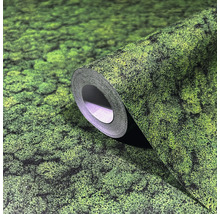 Rouleau de papier peint avec motif de mousse