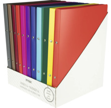 Eine Reihe von farbigen A4 Ringbüchern in einer Aufbewahrungsbox.