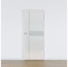 Porte en verre avec des lignes horizontales et verticales
