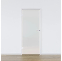 Porte en verre avec cadre et poignée dans un mur