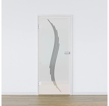 Porte en verre avec verre satiné et décor