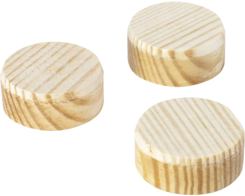 Plaquettes coniques Wolfcraft Ø 25 mm, lot de 20 Trois chevilles en bois