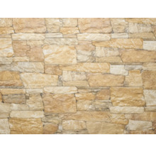 Mur en pierres naturelles