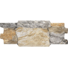 Parement mural en pierre