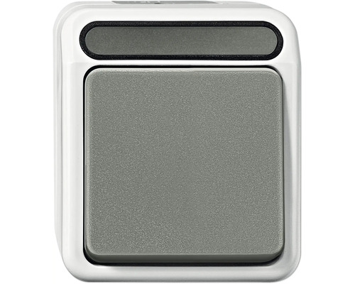 Commutateur/Interrupteur va-et-vient Merten MEG3116-8029 1 pôle Aquastar gris clair Interrupteur avec bouton gris