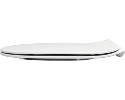 Toilettendeckel aus Kunststoff