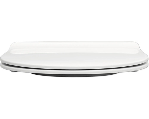 Toilettendeckel aus Kunststoff