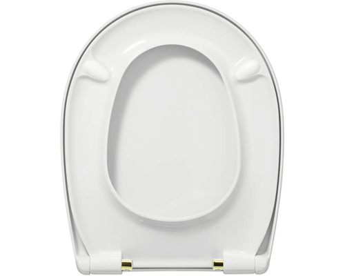 Toilettendeckel aus Kunststoff