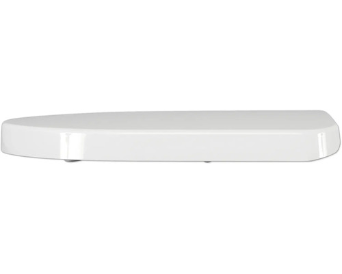 Toilettendeckel aus Kunststoff