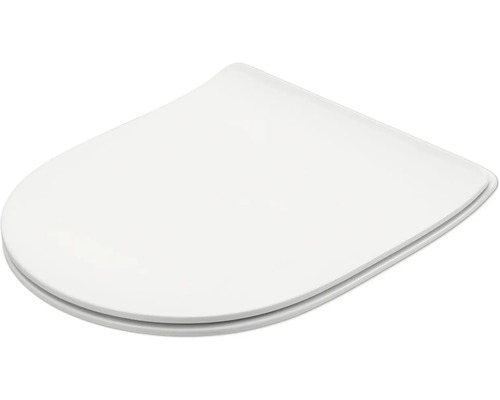 Toilettendeckel aus Kunststoff