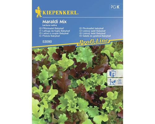Laitue pommée Maraldi mélange Kiepenkerl semences résistantes graines de salade Kiepenkerl Maraldi Mix Laitue à couper Babyleaf sachet de graines