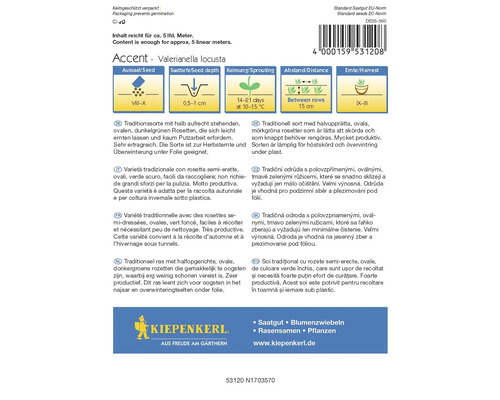 Paquets de graines de salade de blé Accent