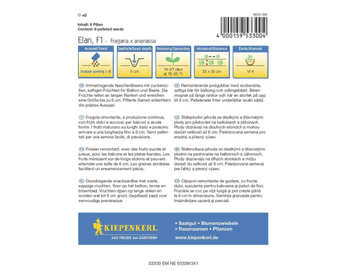 Erdbeersamenpackung Elan F1 für den Innenbereich