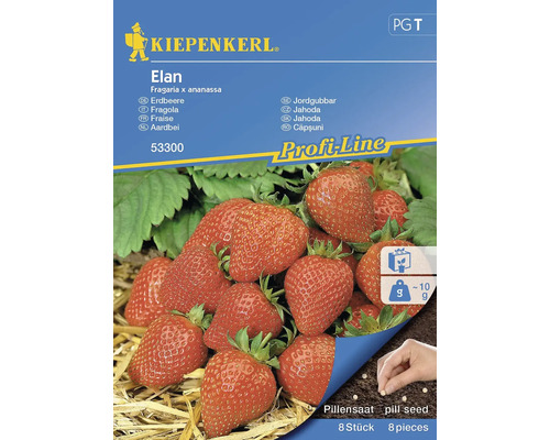 Graines de fraises Kiepenkerl