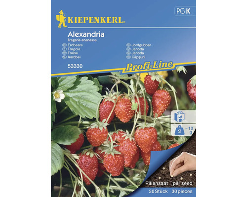 Erdbeere Alexandria Kiepenkerl Samenfestes Saatgut Erdbeere