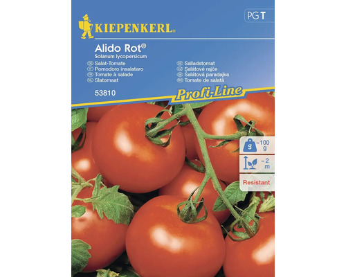 Tomates pour salade Alido Rot® (Bocati, F1) Kiepenkerl graines de légumes hybrides