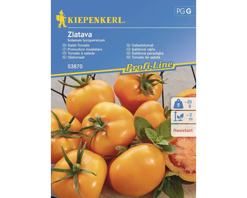 Tomates pour salade Zlatava Kiepenkerl semences stables graines de légumes