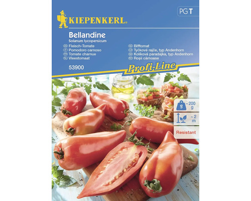 Tomate 'Bellandine' Kiepenkerl graines de légumes hybrides
