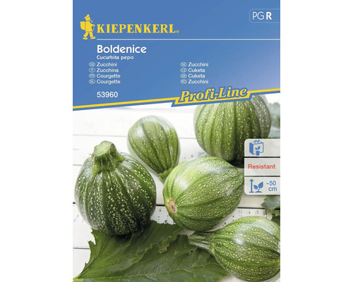 Courgette Boldenice, F1 Kiepenkerl graines hybrides graines de légumes