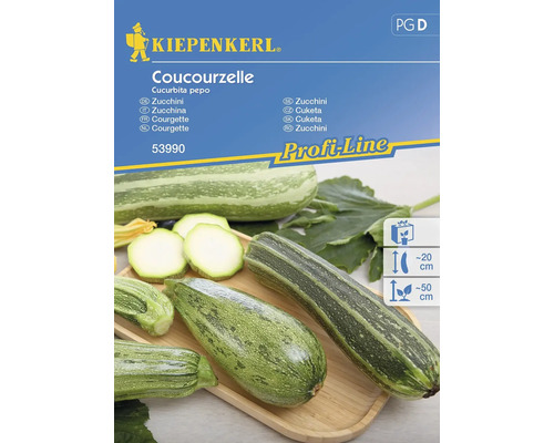 Courgette Coucourzelle (Verte non coureuse d’Italie') Kiepenkerl graines hybrides graines de légumes
