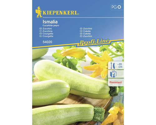 Zucchini Ismalia, F1 Kiepenkerl Hybrid-Saatgut Gemüsesamen