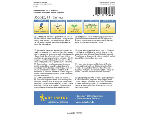 Sachet de graines de maïs Dobosz F1