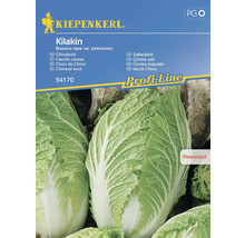 Kiepenkerl Kilakin Chinakohl Samenpackung