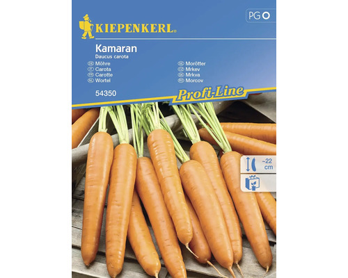 Carotte Kamaran Kiepenkerl semences hybrides graines de légumes, carottes d'automne