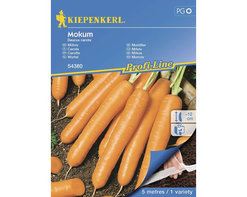 Carotte Mokum Kiepenkerl semences hybrides graines de légumes, ruban de graines