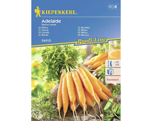 Karotte Adelaide Kiepenkerl Hybrid-Saatgut Gemüsesamen