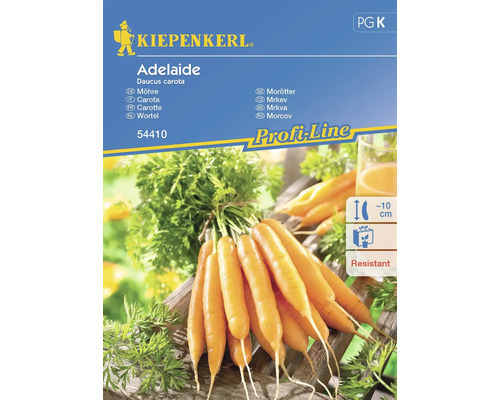 Karotte Adelaide Kiepenkerl Hybrid-Saatgut Gemüsesamen, Saatband 4 lfd Meter