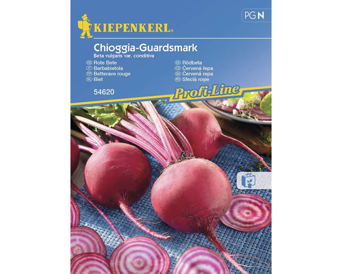 Betterave rouge Chioggia-Guardsmark Kiepenkerl semences fixes graines de légumes