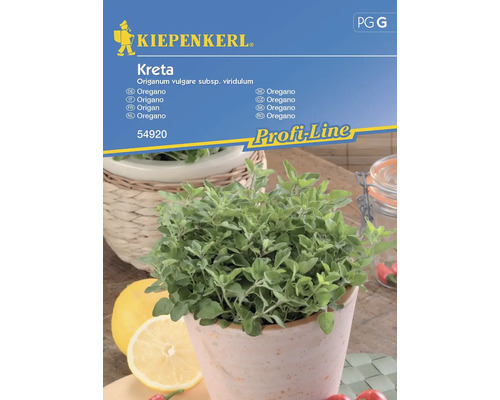 Origan Kreta Kiepenkerl graines fixées graines de fines herbes