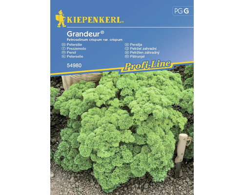 Petersilie Grandeur® (Darki) Kiepenkerl Samenfestes Saatgut Kräutersamen, gekrauste Blätter