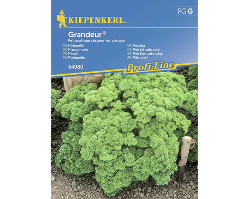 Graines de persil Kiepenkerl