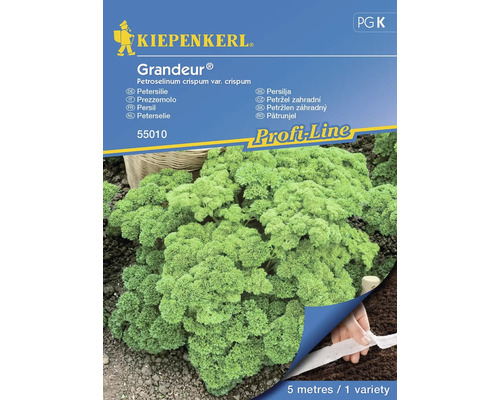Petersilie Grandeur® (Darki) Kiepenkerl Samenfestes Saatgut Kräutersamen, gekrauste Blätter, Saatband