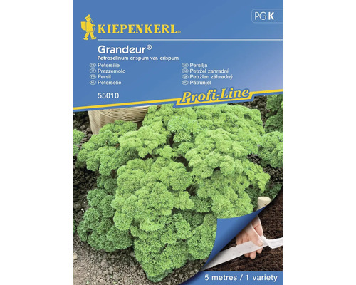 Persil Grandeur® (Darki) Kiepenkerl semences non hybrides graines de fines herbes, feuilles frisées, ruban de graines