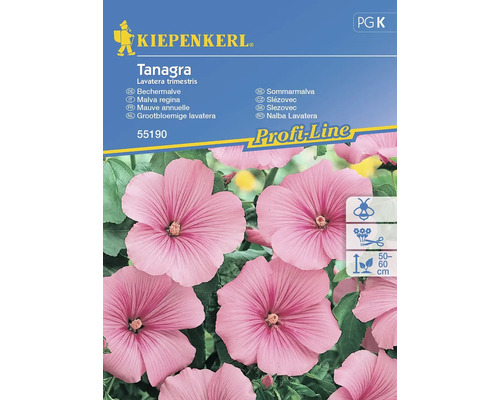 Lavatère Kiepenkerl graines de fleurs