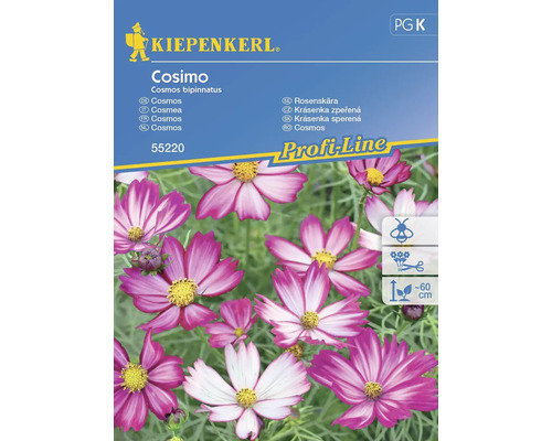 Cosmos bipenné Kiepenkerl graines de fleurs