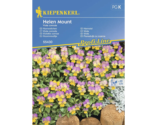 Violette cornue Kiepenkerl graines de fleurs
