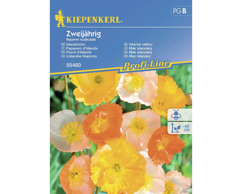 Pavot d'Islande Kiepenkerl graines de fleurs