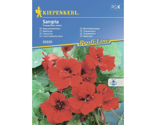 Capucine Sangria Kiepenkerl graines fixées graines de fleurs