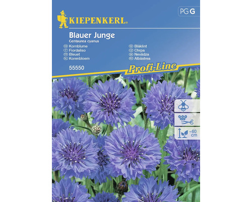 Bleuet Kiepenkerl graines de fleurs