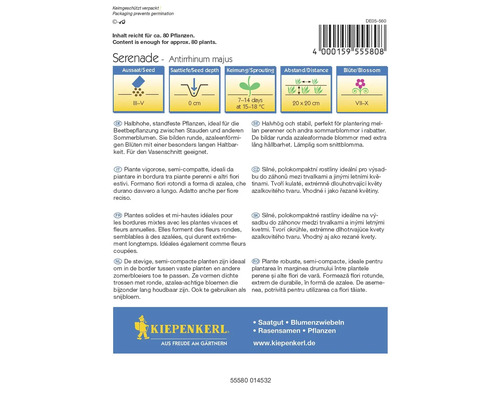 Sachet de graines de fleurs Serenade Antirrhinum Majus