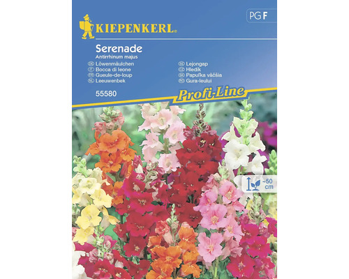 Mufliers Kiepenkerl graines de fleurs