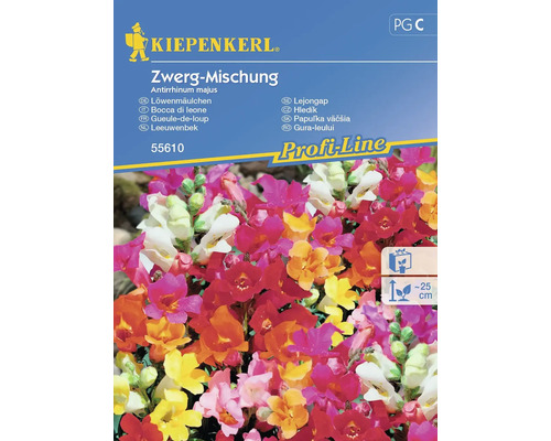 Mufliers Kiepenkerl graines de fleurs